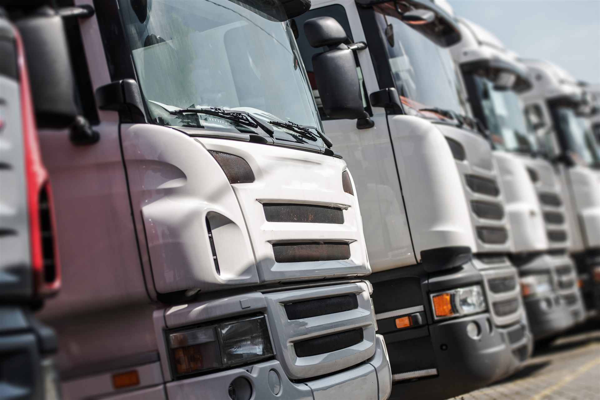 Palettentransport und Lagerlogistik